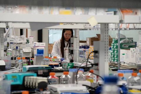 Vắcxin COVID-19: Con người đang đặt cược quá rủi ro? - Ảnh 1. Vắcxin COVID-19: Con người đang đặt cược quá rủi ro? - Ảnh 1.