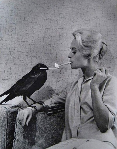 Tippi Hedren - Người đẹp tóc vàng - ân nhân của nhiều người Việt ở Mỹ - Ảnh 2. Tippi Hedren - Người đẹp tóc vàng - ân nhân của nhiều người Việt ở Mỹ - Ảnh 2.