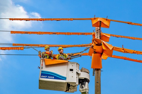 45 năm EVNSPC - hành trình điện khí hóa nông thôn và nâng chất dịch vụ - Ảnh 4. 45 năm EVNSPC - hành trình điện khí hóa nông thôn và nâng chất dịch vụ - Ảnh 4.