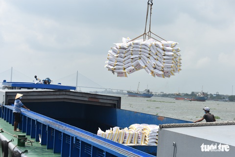 Được xuất khẩu gạo nhưng doanh nghiệp lo đã trễ cơ hội vàng - Ảnh 2. Được xuất khẩu gạo nhưng doanh nghiệp lo đã trễ cơ hội vàng - Ảnh 2.