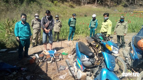 Giữa đêm phát hiện nhóm lâm tặc phá rừng nội ô Đà Lạt - Ảnh 1. Giữa đêm phát hiện nhóm lâm tặc phá rừng nội ô Đà Lạt - Ảnh 1.