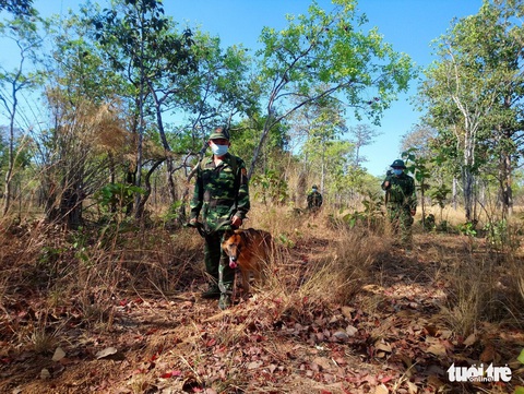 Những chốt chặn dịch trong lòng rừng - Ảnh 7. Những chốt chặn dịch trong lòng rừng - Ảnh 7.