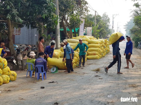 An Giang kiến nghị cho xuất khẩu gạo cứu nông dân và doanh nghiệp - Ảnh 2. An Giang kiến nghị cho xuất khẩu gạo cứu nông dân và doanh nghiệp - Ảnh 2.