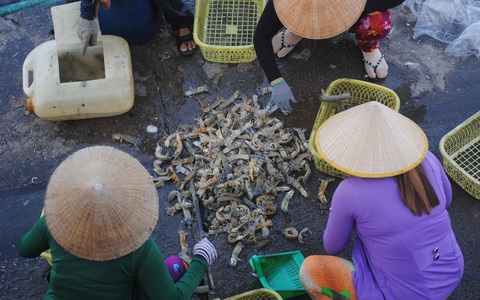 Xóm biển Khánh Hội sau 23 năm hứng cơn cuồng phong Linda - Ảnh 3. Xóm biển Khánh Hội sau 23 năm hứng cơn cuồng phong Linda - Ảnh 3.