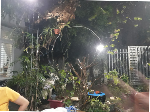 Bình Phước đón trận mưa xối xả hơn 2 giờ - Ảnh 1. Bình Phước đón trận mưa xối xả hơn 2 giờ - Ảnh 1.