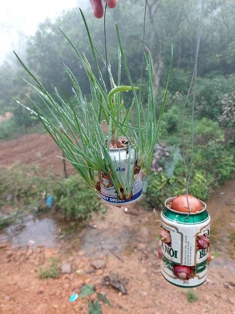 Thương lắm lon rau xanh mọc ngay chốt trực COVID-19 vùng biên - Ảnh 1. Thương lắm lon rau xanh mọc ngay chốt trực COVID-19 vùng biên - Ảnh 1.
