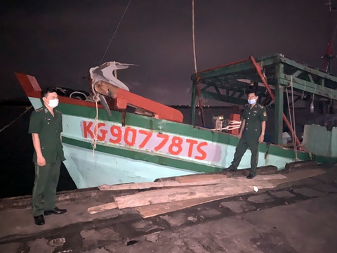 Bắt vụ khai thác 1,2 tấn hải sản nguy cấp, quý, hiếm ở Côn Đảo - Ảnh 1. Bắt vụ khai thác 1,2 tấn hải sản nguy cấp, quý, hiếm ở Côn Đảo - Ảnh 1.