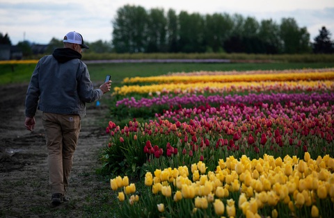 Ý tưởng đột phá giúp nhóm bạn bán sạch hoa tulip ế giữa đại dịch COVID-19 - Ảnh 5. Ý tưởng đột phá giúp nhóm bạn bán sạch hoa tulip ế giữa đại dịch COVID-19 - Ảnh 5.
