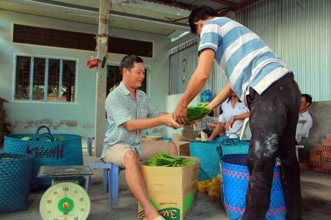Độc đáo làng trầu Vị Thủy - Ảnh 7. Độc đáo làng trầu Vị Thủy - Ảnh 7.