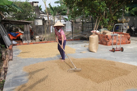 Hộ nghèo Hà Tĩnh xin không nhận trợ cấp để chia sẻ với Chính phủ lúc khó khăn - Ảnh 1. Hộ nghèo Hà Tĩnh xin không nhận trợ cấp để chia sẻ với Chính phủ lúc khó khăn - Ảnh 1.
