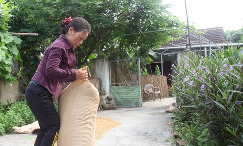 Hộ nghèo Hà Tĩnh xin không nhận trợ cấp để chia sẻ với Chính phủ lúc khó khăn - Ảnh 2. Hộ nghèo Hà Tĩnh xin không nhận trợ cấp để chia sẻ với Chính phủ lúc khó khăn - Ảnh 2.