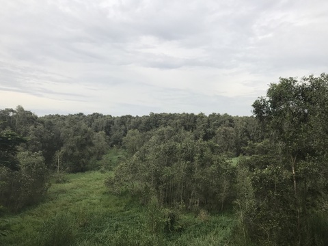 Long An chuyển gần 200ha đất rừng sang làm dự án điện mặt trời - Ảnh 1. Long An chuyển gần 200ha đất rừng sang làm dự án điện mặt trời - Ảnh 1.