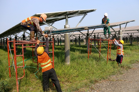 Làm việc giữa nắng chang chang trên cánh đồng điện mặt trời - Ảnh 2. Làm việc giữa nắng chang chang trên cánh đồng điện mặt trời - Ảnh 2.