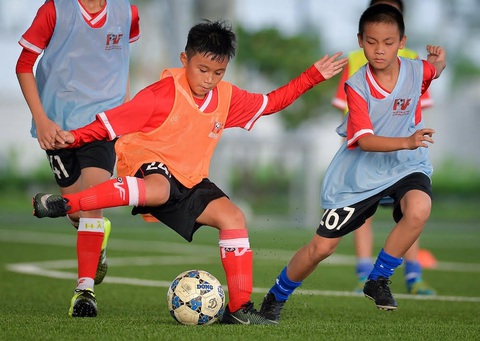 PVF tuyển sinh khóa 12 - Ảnh 1. PVF tuyển sinh khóa 12 - Ảnh 1.