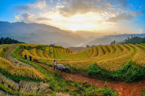Phát hiện siêu phẩm ruộng bậc thang khắc trên đá cổ ở Mù Cang Chải - Ảnh 1. Phát hiện siêu phẩm ruộng bậc thang khắc trên đá cổ ở Mù Cang Chải - Ảnh 1.