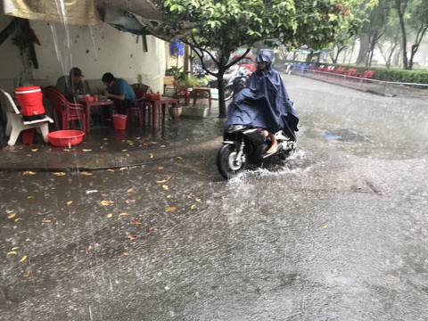 TP.HCM mới sáng đã mưa xối xả sau nhiều ngày nắng nóng - Ảnh 3. TP.HCM mới sáng đã mưa xối xả sau nhiều ngày nắng nóng - Ảnh 3.