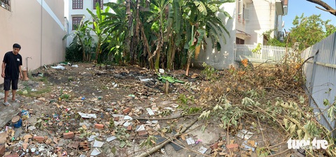 Đôi vợ chồng ở Sài Gòn biến khu đất 273m² thành vườn rau đầy cây trái sau thời gian cách ly - Ảnh 2. Đôi vợ chồng ở Sài Gòn biến khu đất 273m² thành vườn rau đầy cây trái sau thời gian cách ly - Ảnh 2.