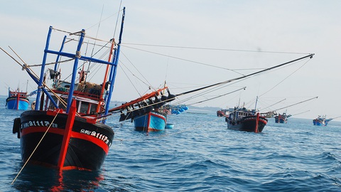 Hội Nghề cá Việt Nam phản đối Trung Quốc cấm đánh bắt cá trên Biển Đông - Ảnh 1. Hội Nghề cá Việt Nam phản đối Trung Quốc cấm đánh bắt cá trên Biển Đông - Ảnh 1.