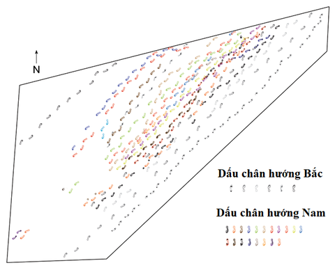 Phát hiện nơi có nhiều dấu chân người tiền sử nhất châu Phi - Ảnh 2. Phát hiện nơi có nhiều dấu chân người tiền sử nhất châu Phi - Ảnh 2.
