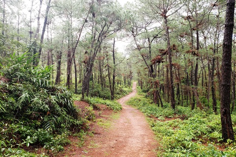 Mời bạn chọn Huế đồng hành trong những chuyến đi - Ảnh 4. Mời bạn chọn Huế đồng hành trong những chuyến đi - Ảnh 4.