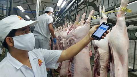 Vì sao giá thịt heo không chịu giảm? - Ảnh 1. Vì sao giá thịt heo không chịu giảm? - Ảnh 1.