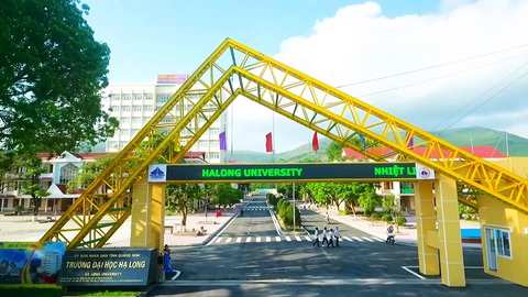 Chủ tịch tỉnh kiêm hiệu trưởng đại học: tỉnh nói đúng quy định, chuyên gia buồn cười - Ảnh 1. Chủ tịch tỉnh kiêm hiệu trưởng đại học: tỉnh nói đúng quy định, chuyên gia buồn cười - Ảnh 1.
