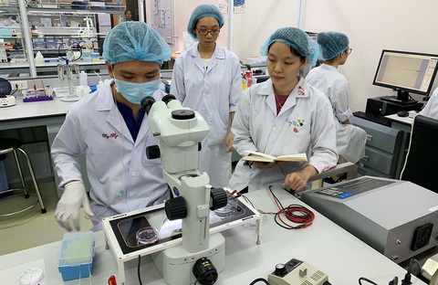 Tự chủ theo quy định của bộ là trói đại học quốc gia? - Ảnh 1. Tự chủ theo quy định của bộ là trói đại học quốc gia? - Ảnh 1.