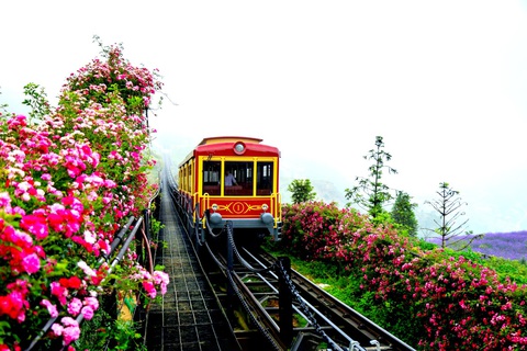 Khám phá chuyến du lịch Sa Pa sang xịn mà không quá tốn kém - Ảnh 2. Khám phá chuyến du lịch Sa Pa sang xịn mà không quá tốn kém - Ảnh 2.