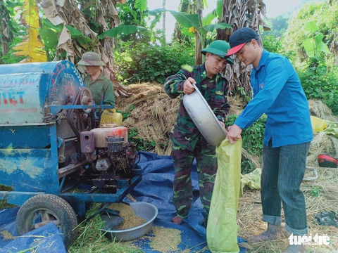 Bạn trẻ đội nắng hè xuống đồng giúp dân gặt lúa - Ảnh 3. Bạn trẻ đội nắng hè xuống đồng giúp dân gặt lúa - Ảnh 3.