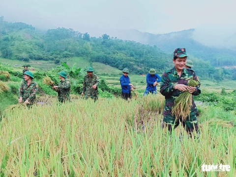 Bạn trẻ đội nắng hè xuống đồng giúp dân gặt lúa - Ảnh 1. Bạn trẻ đội nắng hè xuống đồng giúp dân gặt lúa - Ảnh 1.