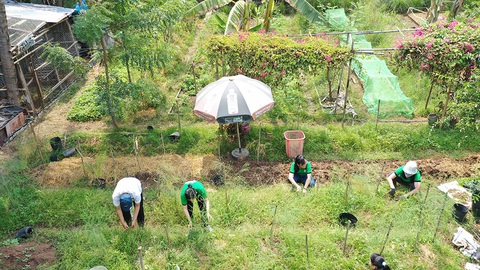 Khó thở giữa bêtông phố thị - Ảnh 1. Khó thở giữa bêtông phố thị - Ảnh 1.