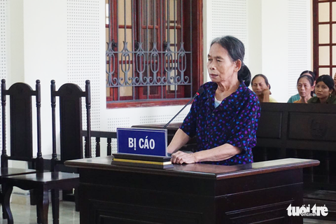 Đẩy cháu xuống đập nước chết đuối, bà nội bị phạt 12 năm tù - Ảnh 1. Đẩy cháu xuống đập nước chết đuối, bà nội bị phạt 12 năm tù - Ảnh 1.