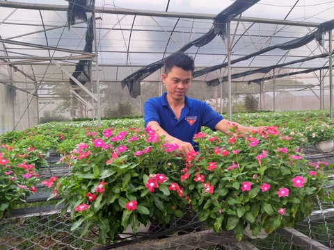 Chàng trai say mê nông nghiệp sạch - Ảnh 1. Chàng trai say mê nông nghiệp sạch - Ảnh 1.