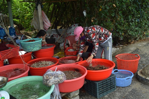 Dừng chân nơi non xanh nước biếc Lăng Cô - Ảnh 5. Dừng chân nơi non xanh nước biếc Lăng Cô - Ảnh 5.