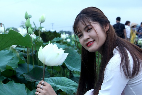 Ngây ngất với đầm sen trắng xứ Huế ở Hà thành - Ảnh 5. Ngây ngất với đầm sen trắng xứ Huế ở Hà thành - Ảnh 5.