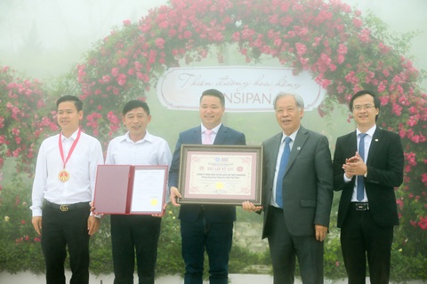 Sa Pa nhận kỷ lục thung lũng hoa hồng lớn nhất Việt Nam - Ảnh 4. Sa Pa nhận kỷ lục thung lũng hoa hồng lớn nhất Việt Nam - Ảnh 4.