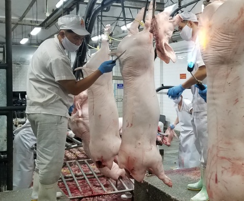 Giá heo hơi tăng mạnh trở lại - Ảnh 1. Giá heo hơi tăng mạnh trở lại - Ảnh 1.