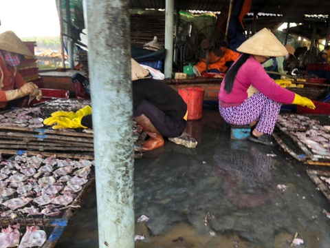 Các cơ sở sơ chế mực xà xả thải bưc tử biển Đề Gi - Ảnh 4. Các cơ sở sơ chế mực xà xả thải bưc tử biển Đề Gi - Ảnh 4.