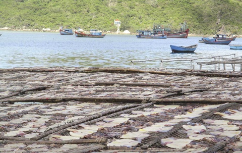 Các cơ sở sơ chế mực xà xả thải bưc tử biển Đề Gi - Ảnh 2. Các cơ sở sơ chế mực xà xả thải bưc tử biển Đề Gi - Ảnh 2.