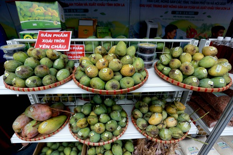 Trái cây xịn khắp nơi tràn về Hà Nội - Ảnh 4. Trái cây xịn khắp nơi tràn về Hà Nội - Ảnh 4.