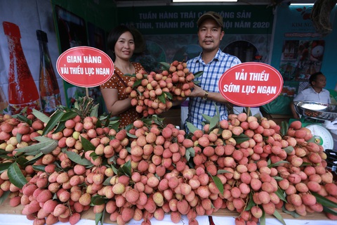 Trái cây xịn khắp nơi tràn về Hà Nội - Ảnh 1. Trái cây xịn khắp nơi tràn về Hà Nội - Ảnh 1.