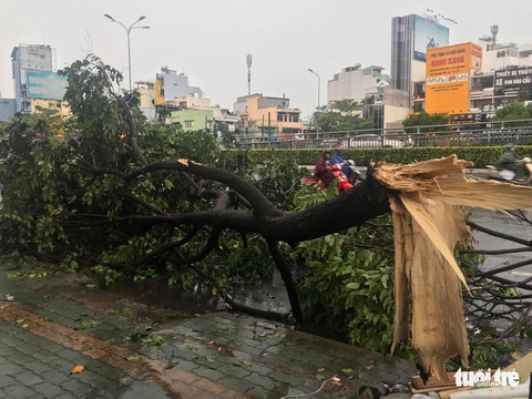 TP.HCM: Mưa lớn nước chảy như lũ trên phố, cây gãy cành đè người đi đường - Ảnh 7. TP.HCM: Mưa lớn nước chảy như lũ trên phố, cây gãy cành đè người đi đường - Ảnh 7.