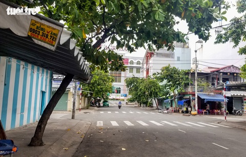 Nhiều cây xanh ven đường đang bị bóp cổ bằng ximăng - Ảnh 5. Nhiều cây xanh ven đường đang bị bóp cổ bằng ximăng - Ảnh 5.
