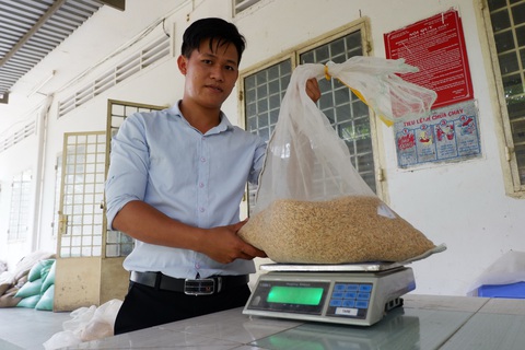Tìm lại hạt gạo tiến vua - Ảnh 3. Tìm lại hạt gạo tiến vua - Ảnh 3.