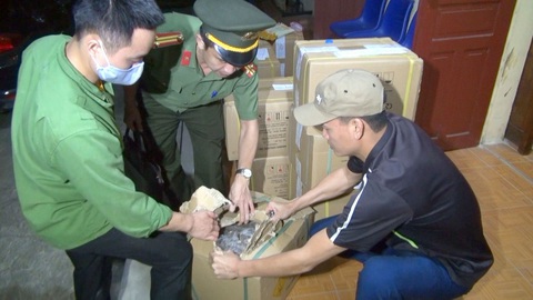 Tạm giữ 5 nghi phạm vụ mua bán 230kg thuốc nổ và dây cháy chậm - Ảnh 1. Tạm giữ 5 nghi phạm vụ mua bán 230kg thuốc nổ và dây cháy chậm - Ảnh 1.