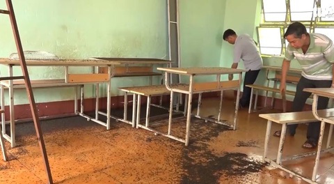 Bọ đậu đen tấn công trường học, gom được cả tấn - Ảnh 4. Bọ đậu đen tấn công trường học, gom được cả tấn - Ảnh 4.