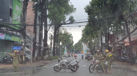 Mưa lớn kèm gió mạnh, hàng loạt cây cối ở Cần Thơ bật gốc - Ảnh 3. Mưa lớn kèm gió mạnh, hàng loạt cây cối ở Cần Thơ bật gốc - Ảnh 3.