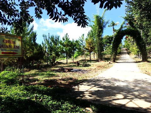 Rộn ràng tour lên rừng xuống biển phương Nam - Ảnh 5. Rộn ràng tour lên rừng xuống biển phương Nam - Ảnh 5.