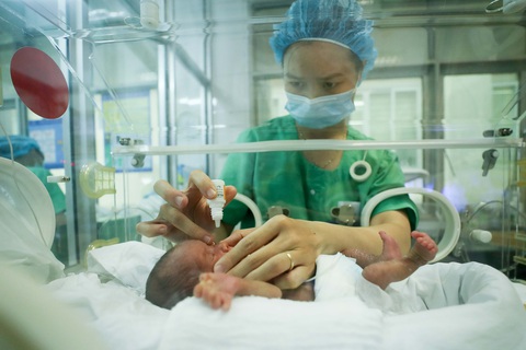 Người dân TP.HCM sinh con ít nhất nước, Hà Tĩnh nhiều nhất - Ảnh 1. Người dân TP.HCM sinh con ít nhất nước, Hà Tĩnh nhiều nhất - Ảnh 1.