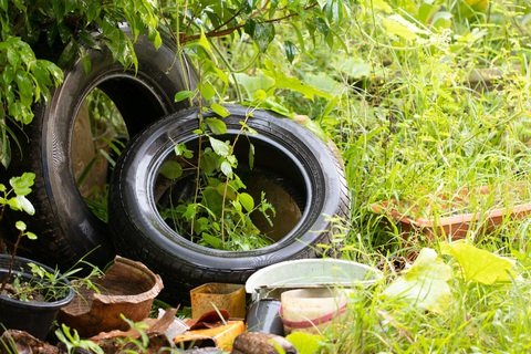 Bệnh sốt xuất huyết: đừng mất cảnh giác khi mùa mưa vào cao điểm - Ảnh 3. Bệnh sốt xuất huyết: đừng mất cảnh giác khi mùa mưa vào cao điểm - Ảnh 3.